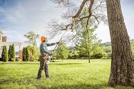 Best Lawn Disease Treatment  in Castle Shannon, PA